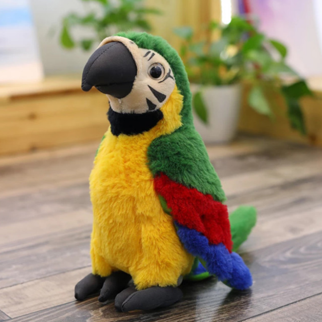 Parrot Buddy
